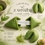 Ciasteczka z wróżbą o smaku matchy – zielone, chrupiące ciasteczka inspirowane japońską herbatą matcha z inspirującą wróżbą w środku.